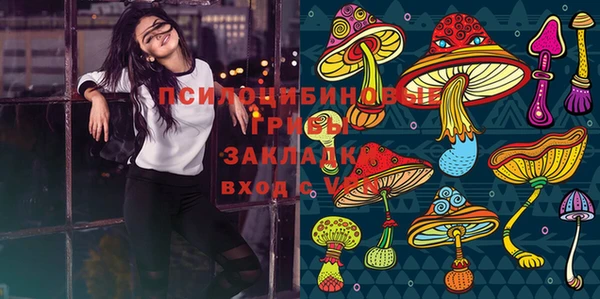 mdpv Михайловск