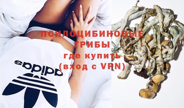 бутират Михайлов