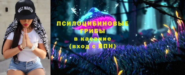 mdpv Михайловск