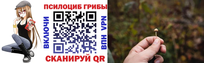 Галлюциногенные грибы мухоморы  Купить закладки  Пошехонье 