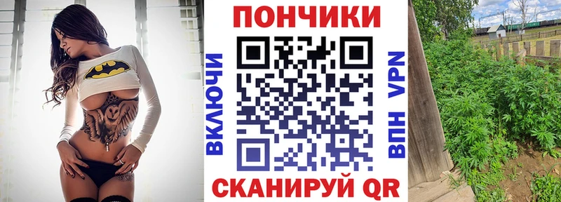 Каннабис планчик  Купить  Пошехонье 